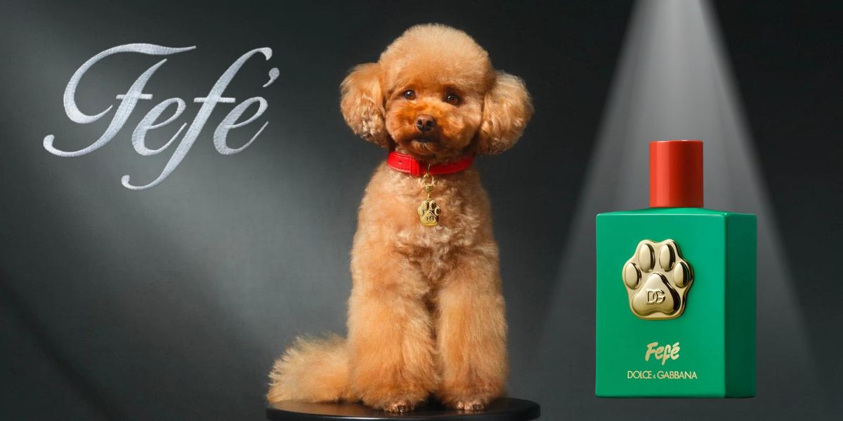 Luxury dog perfume clearance