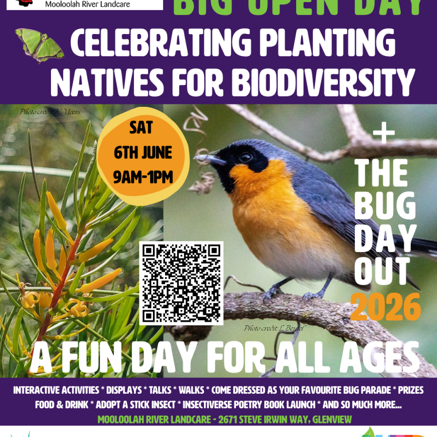 Open-Day-2026-plant-and-bird-1.png